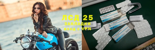 хмурый Инта