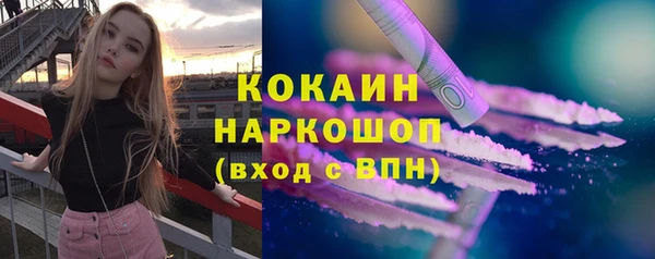 хмурый Инта