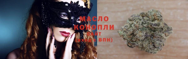 тгк Инсар