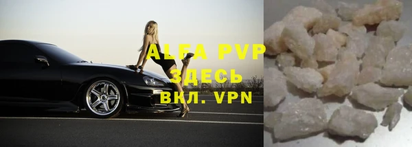 тгк Инсар
