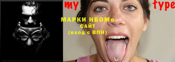 хмурый Инта