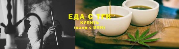 тгк Инсар
