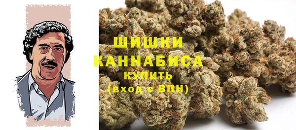 хмурый Инта