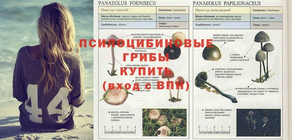 хмурый Инта