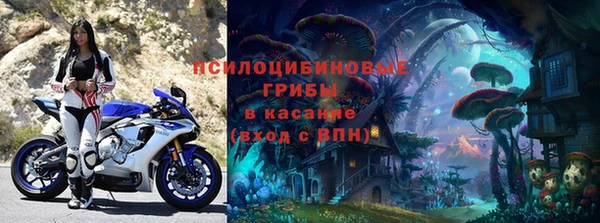 тгк Инсар