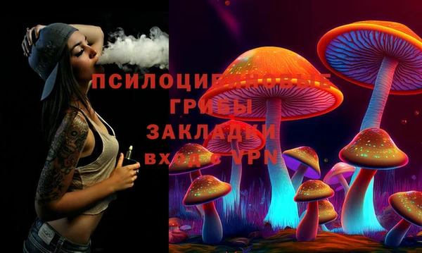 хмурый Инта