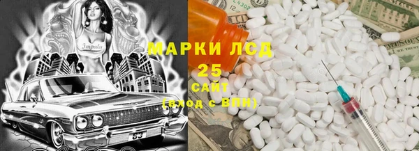 хмурый Инта