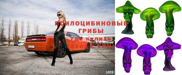 хмурый Инта
