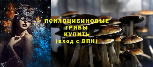 хмурый Инта