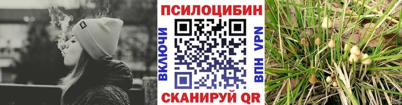 Купить закладки  Калязин  Псилоцибиновые грибы мухоморы 